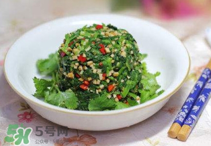 芹菜葉怎么吃？芹菜葉吃法