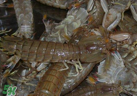 爬蝦哪些部位不能吃？爬哪里不能吃圖解？