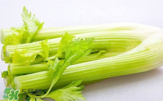 西芹是轉(zhuǎn)基因的嗎？西芹是不是轉(zhuǎn)基因