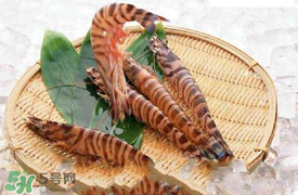 蝦爬子怎么扒皮？蝦爬子怎么剝殼？