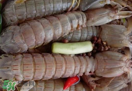 哺乳期能吃蝦爬子嗎？喂奶可以吃蝦爬子嗎？