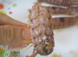 蝦爬吃多了怎么辦？蝦爬子吃多了什么反應(yīng)？