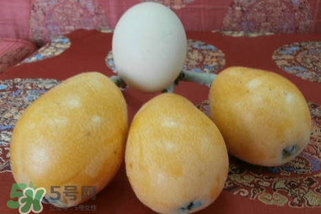 枇杷是什么季節(jié)的水果？枇杷什么季節(jié)吃