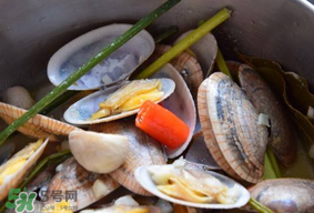 花甲冷水下鍋還是熱水？煮花甲用冷水還是熱水？