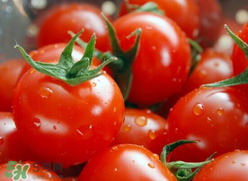 西紅柿和花甲能一起吃嗎？花甲能和西紅柿同吃嗎？