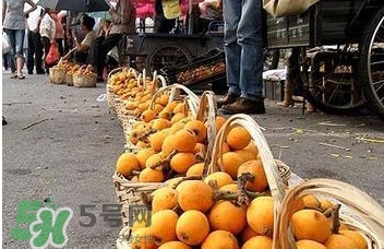 枇杷是什么季節(jié)的水果？枇杷什么季節(jié)吃