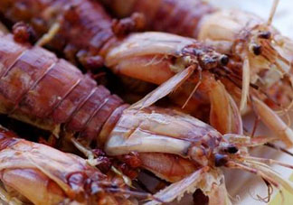 哺乳期能吃蝦爬子嗎？喂奶可以吃蝦爬子嗎？