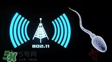 wifi殺精嗎？wifi殺精是真的嗎？