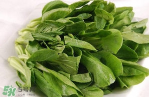 雞毛菜怎么做？雞毛菜的做法