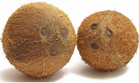 椰子怎么吃？如何吃到椰子肉