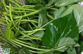 芍尖不能和什么一起吃？苕尖不能和什么一起吃