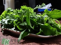 苕尖是發(fā)物嗎？苕尖是不是發(fā)物