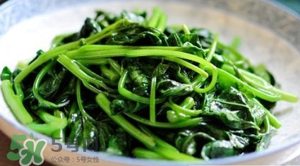 苕尖是發(fā)物嗎？苕尖是不是發(fā)物