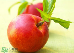 油桃可以放冰箱嗎？油桃能放冰箱嗎？