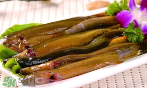 怎么處理泥鰍？泥鰍怎么處理干凈