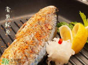 2017鲅魚多少錢一斤？鲅魚多少錢一斤2017？