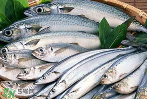 2017鲅魚多少錢一斤？鲅魚多少錢一斤2017？