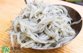 銀魚是面條魚嗎？面條魚和銀魚的區(qū)別