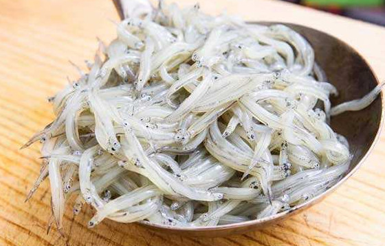 面條魚(yú)怎么洗？面條魚(yú)怎么處理