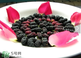 覆盆子是桑葚嗎？覆盆子和桑葚的區(qū)別