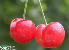 櫻桃籽有毒嗎？櫻桃籽能吃嗎？