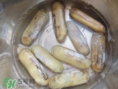 怎么樣讓蟶子吐沙？如何讓蟶子吐沙