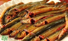 泥鰍是發(fā)物嗎？泥鰍是不是發(fā)物