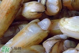 蟶子是海鮮嗎？蟶子是海鮮還是河鮮