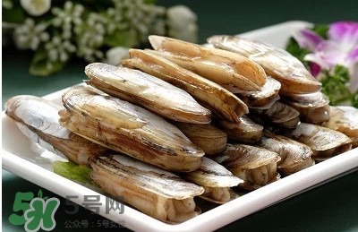 蟶子是海鮮嗎？蟶子是海鮮還是河鮮