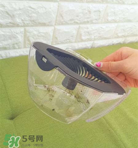 inadays滅蚊燈有用嗎？inadays滅蚊燈有效果嗎？