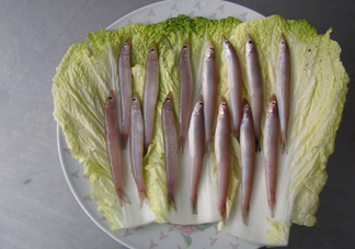 青島面條魚是什么魚？青島面條魚叫什么