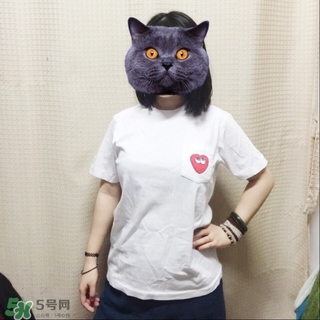 優(yōu)衣庫(kù)xKAWS合作系列衣服多少錢與試穿圖片