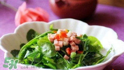 番薯葉怎么炒好吃？番薯葉的做法