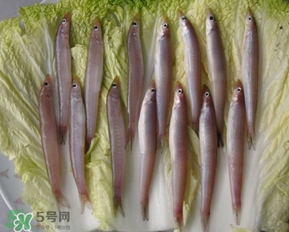 青島面條魚是什么魚？青島面條魚叫什么