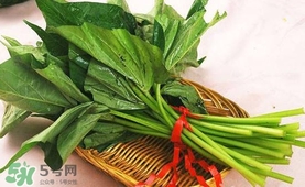 苕尖怎么炒？苕尖的做法