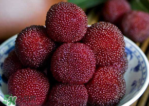 楊梅為什么有蟲子？楊梅有蟲能吃嗎？