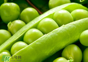 豌豆能放在冰箱嗎？豌豆放冰箱怎么保存？