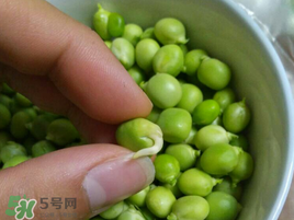 新鮮豌豆發(fā)芽了能吃嗎？豌豆發(fā)芽了還能吃嗎？