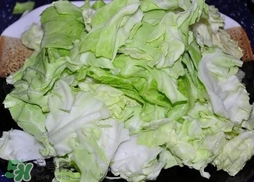 大頭菜是什么菜?大頭菜是什么樣子的? 大頭菜是什么菜?大頭菜是什么樣子的?