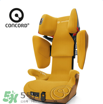 concord中文是什么？concord的中文名字怎么翻譯？