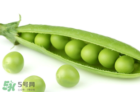 生豌豆有毒嗎？豌豆生吃有毒嗎？