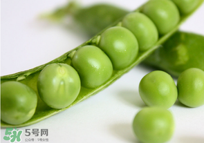 生豌豆有毒嗎？豌豆生吃有毒嗎？