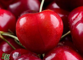 新鮮櫻桃如何保存？新鮮櫻桃能放多久？