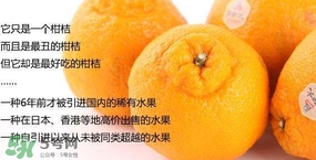 丑八怪是轉(zhuǎn)基因水果嗎？丑八怪是不是轉(zhuǎn)基因