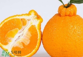 丑八怪水果多少錢一斤？不知火雜柑一斤多少錢