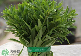 救心菜有毒嗎？救心菜怎么吃沒毒？
