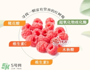 樹莓怎么保存？樹莓保存方法