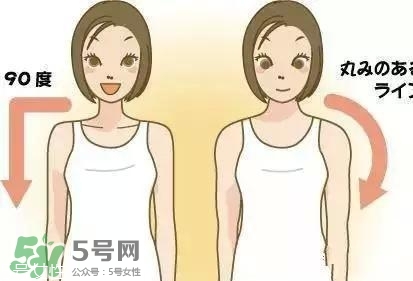 天鵝臂是什么？天鵝臂有用嗎