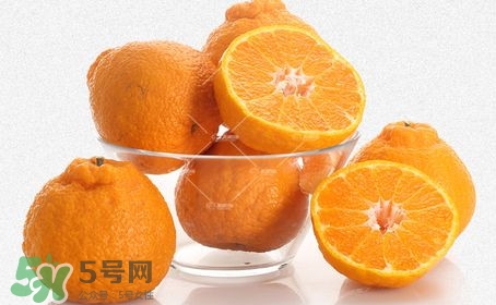 丑八怪是橙子嗎？丑八怪是不是橙子