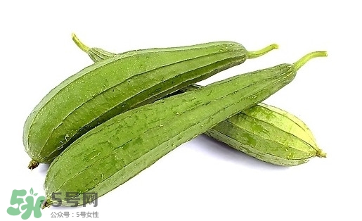 孕婦能吃絲瓜嗎？孕婦能不能吃絲瓜